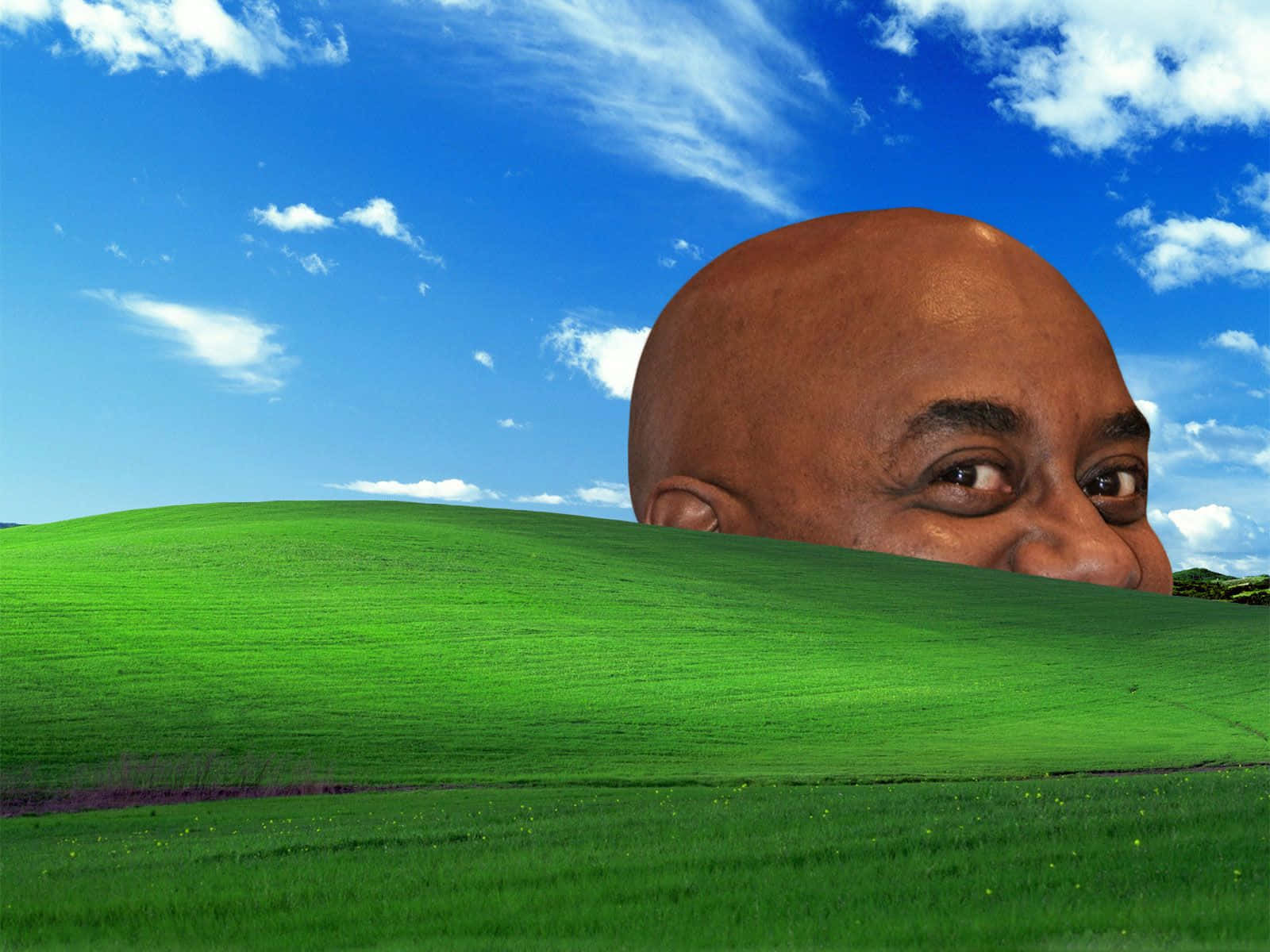 bald man, vibrant green hill, bright blue sky, HD Desktop Wallpaper