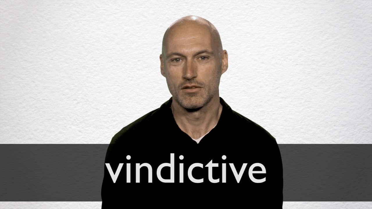 bald man, black shirt, textured white wall, HD Desktop Wallpaper
