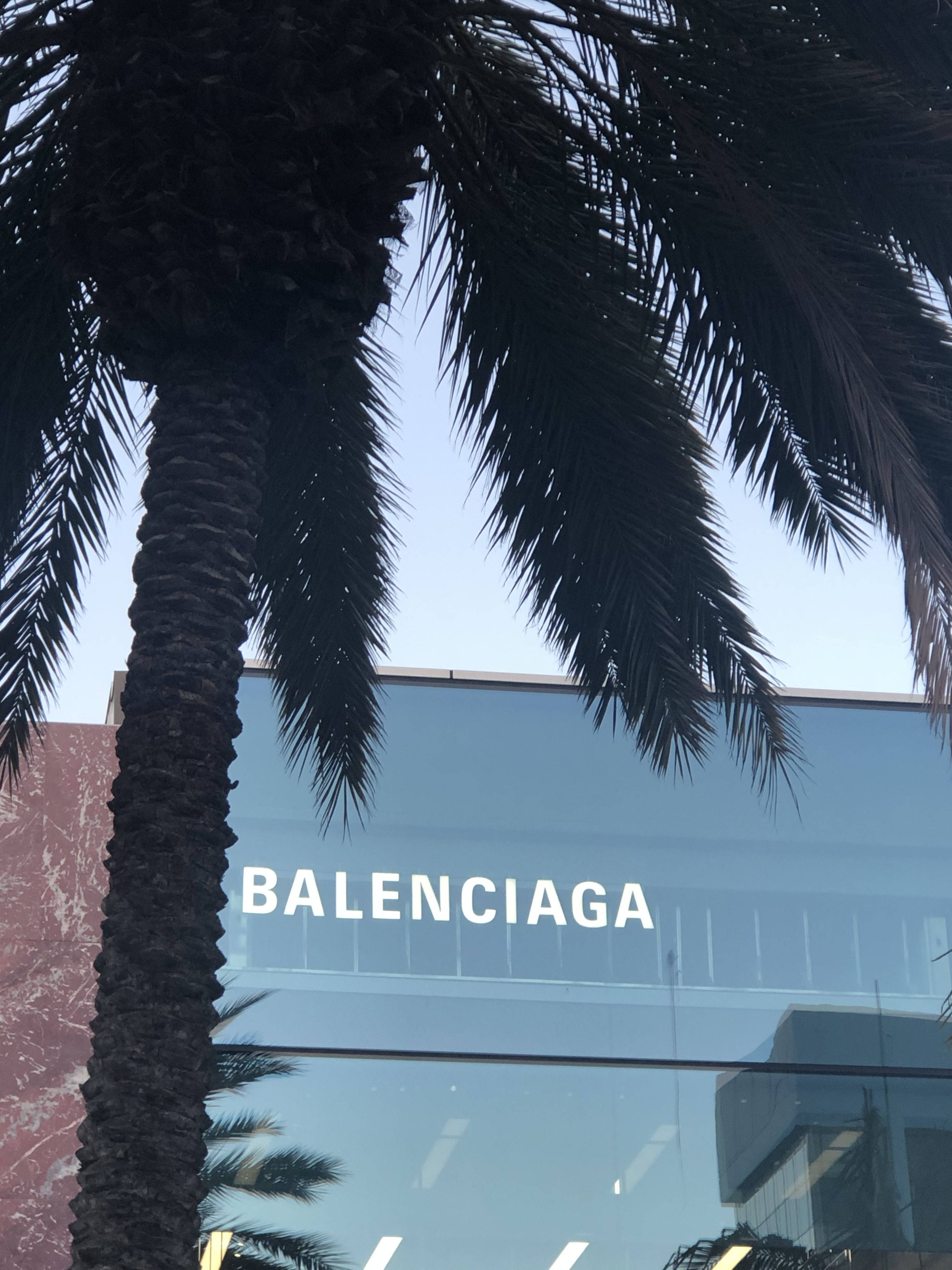 Balenciaga, office building, tall palm tree, 4K Phone Wallpaper