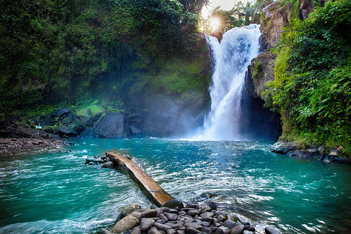 Bali Island, Sunset, jungle canopy, SD Desktop Wallpaper