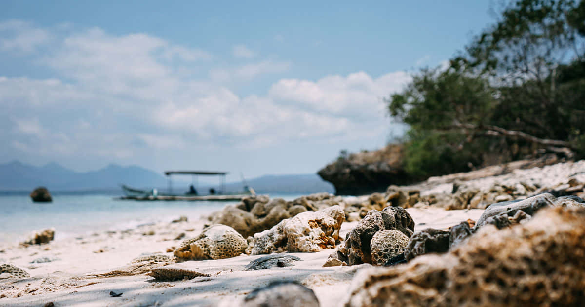Bali Island, sunrise, pristine beach, SD Desktop Wallpaper