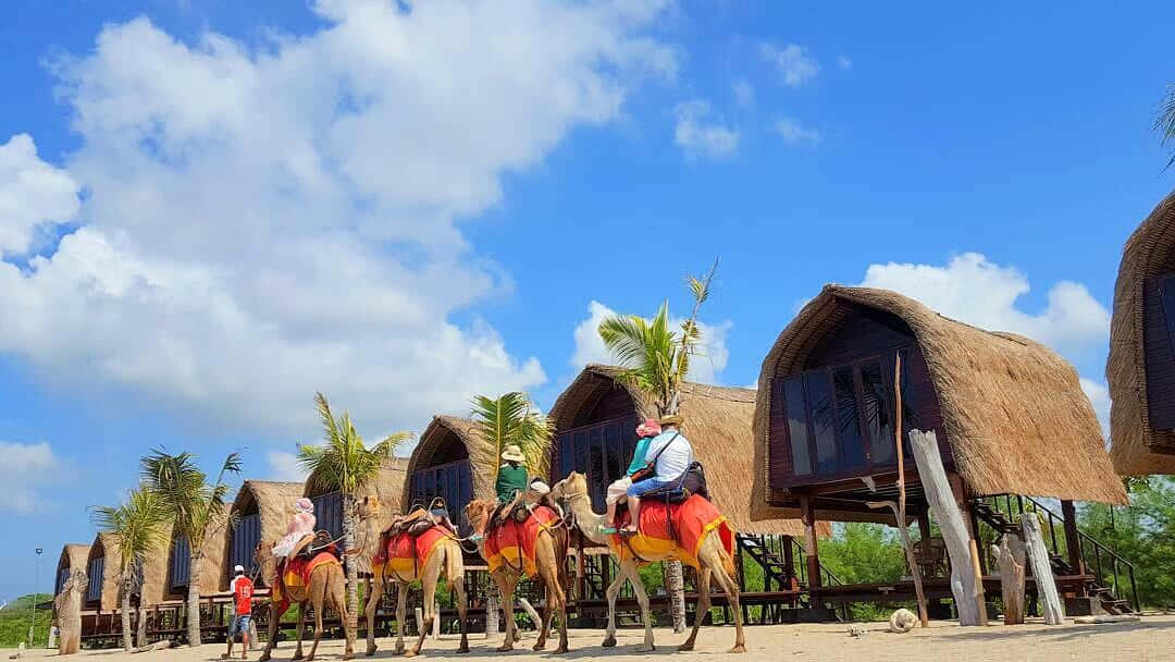 Bali Island, colorful saddles, thatched-roof huts, SD Desktop Wallpaper