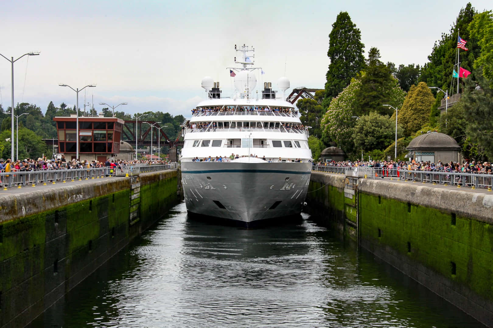 cruise ship, Ballard Locks, mossy canal lock, HD Desktop Wallpaper