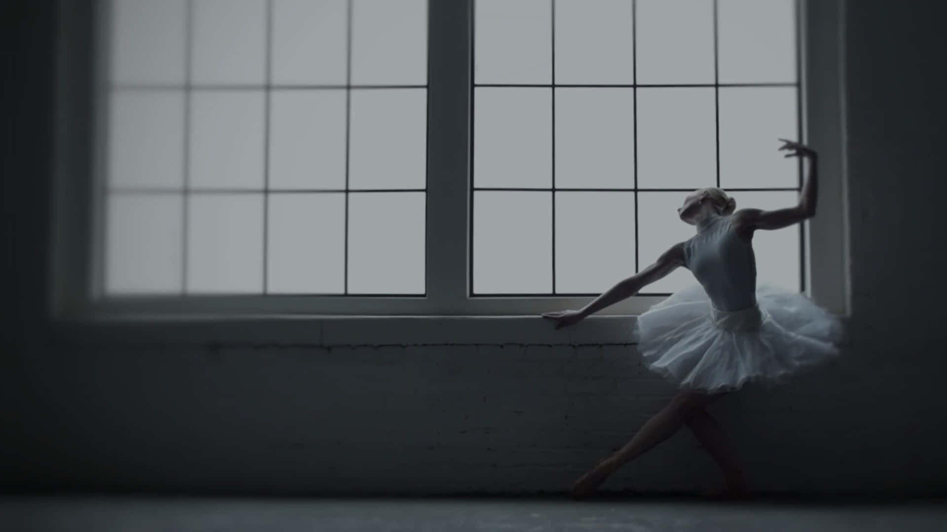 ballerina, white tutu, profile, Full HD Desktop Wallpaper