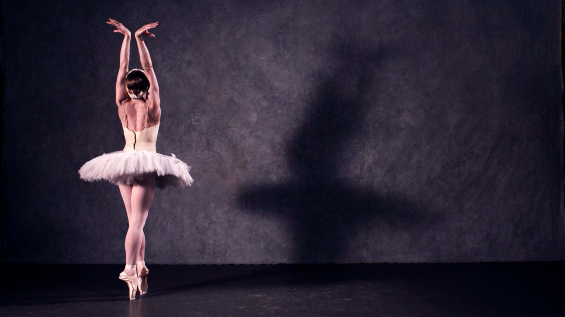 ballerina, white tutu, en pointe, Full HD Desktop Wallpaper