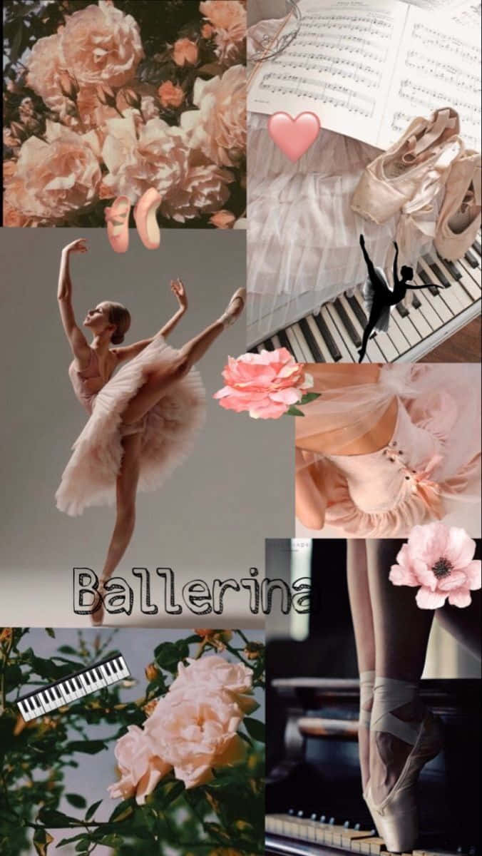 ballet inspired collage, ballerinas, roses, SD Phone Wallpaper