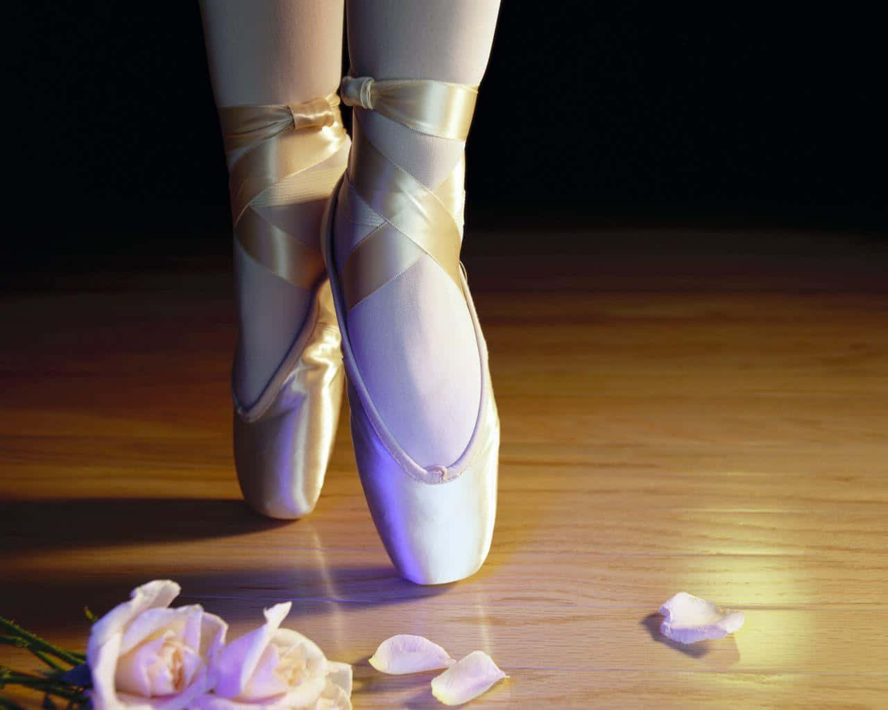 pointe shoes, white pointe shoes, rose petals, HD Desktop Wallpaper