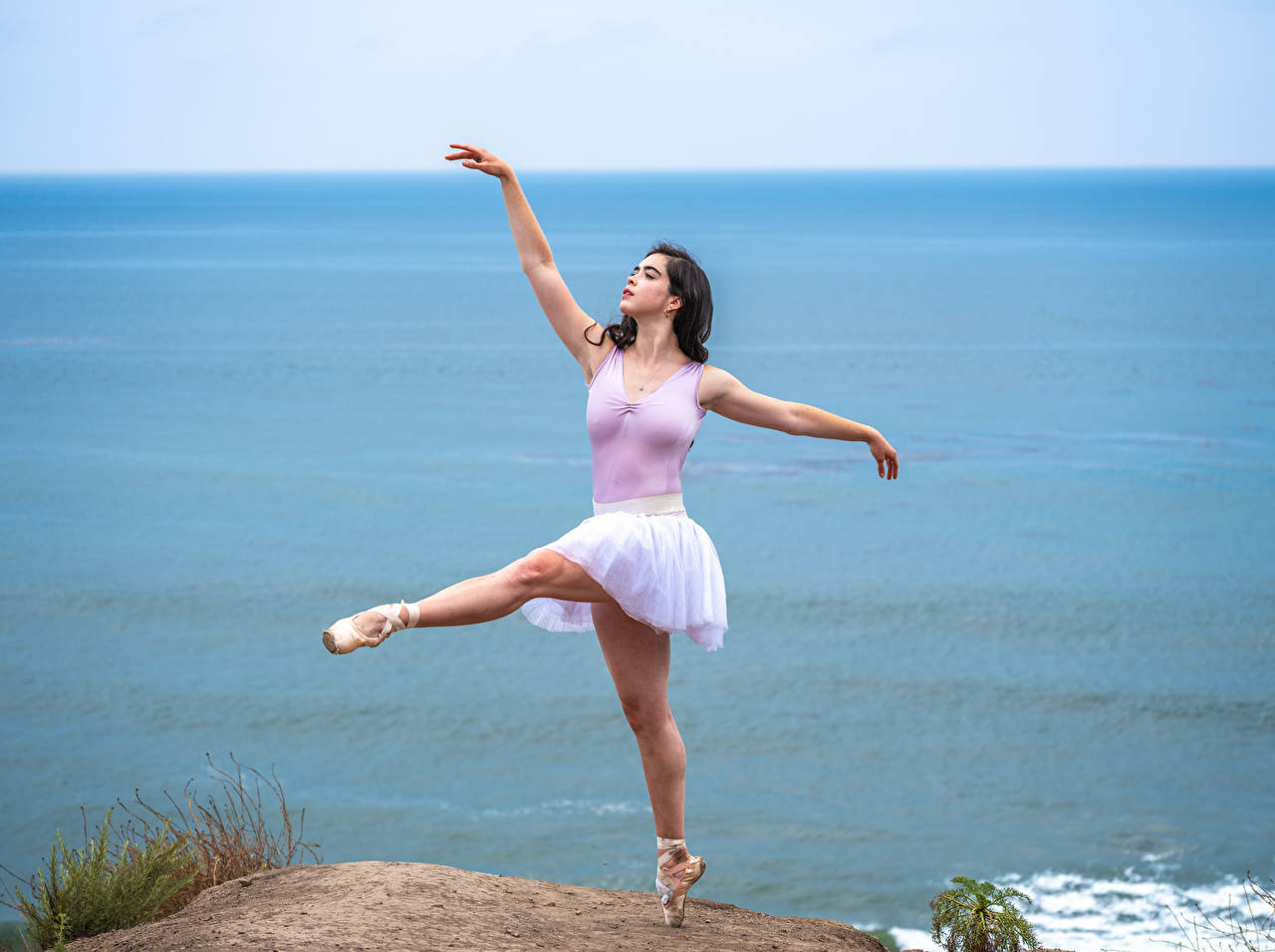 ballerina, lavender leotard, white tutu, HD Desktop Wallpaper