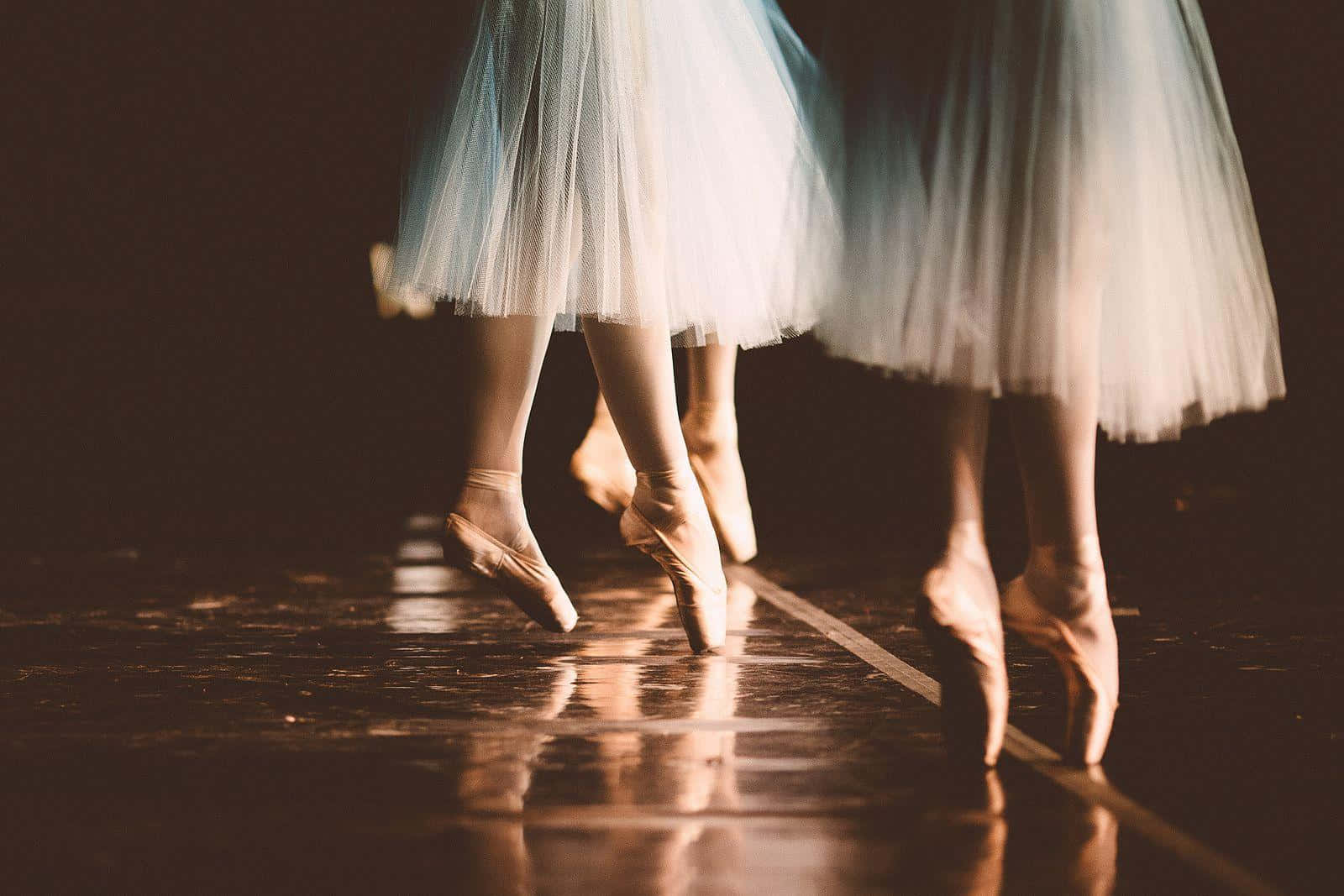ballet dancers, tutus, white tutus, HD Desktop Wallpaper