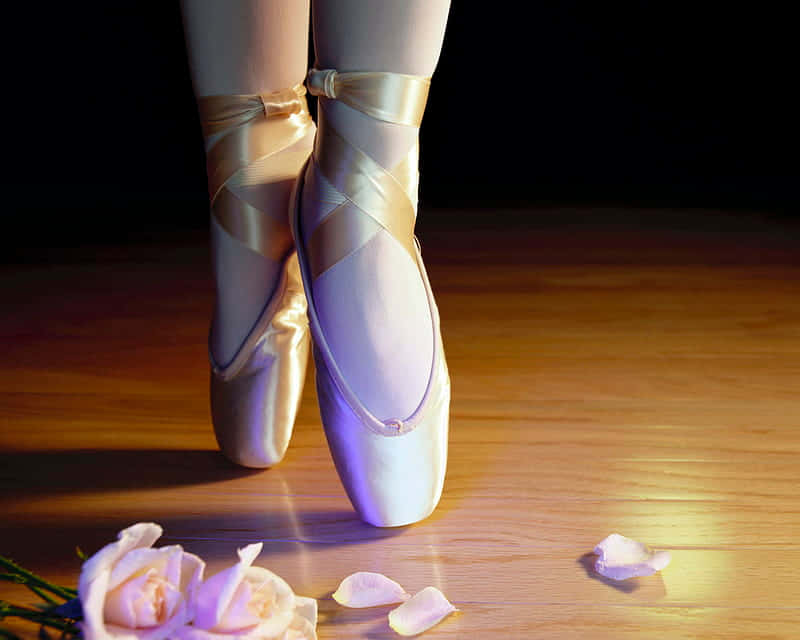 ballerina, satin pointe shoes, wooden floor, SD Desktop Wallpaper