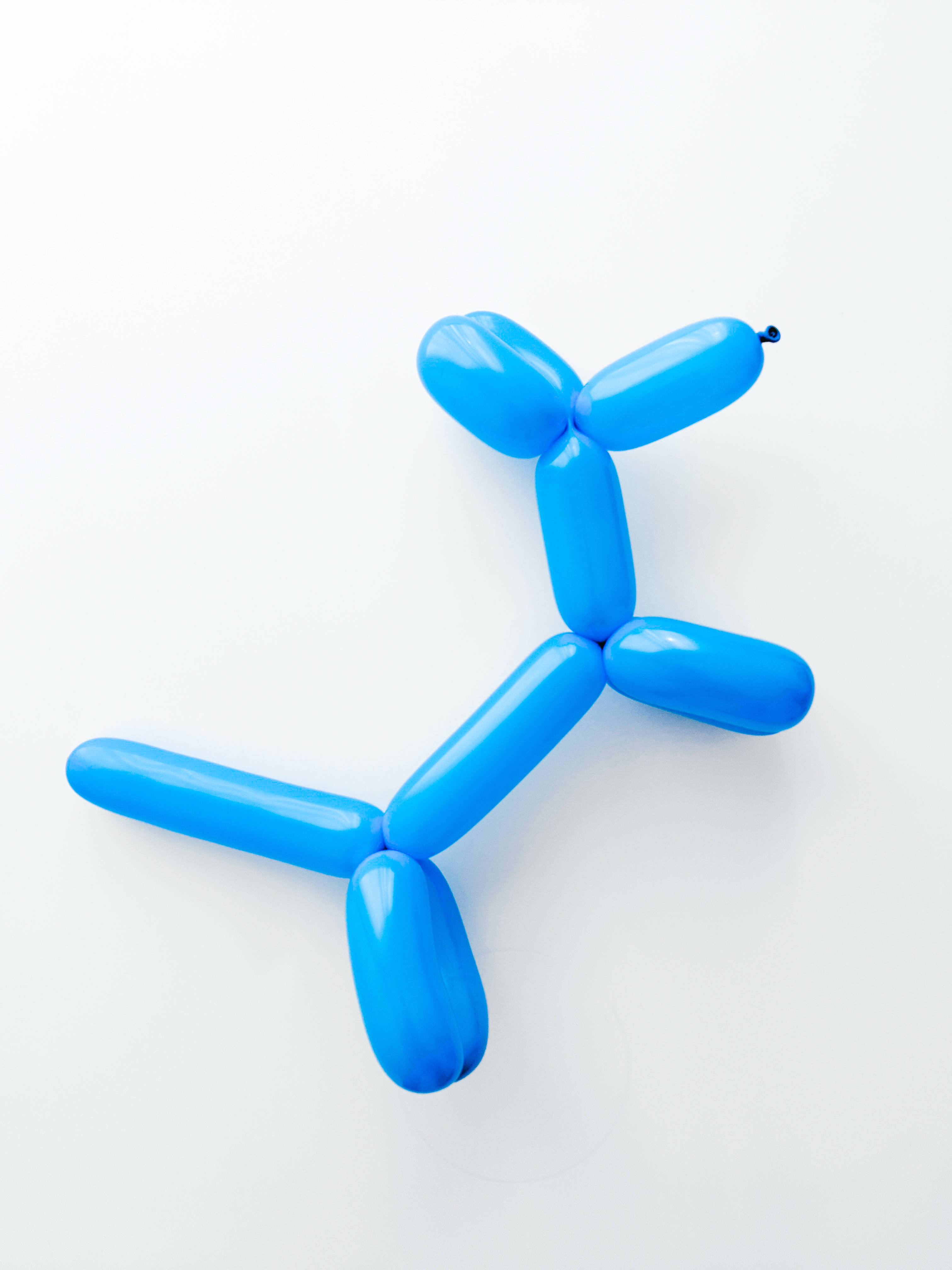 blue balloon, dog shape, plain white surface, 4K Phone Wallpaper