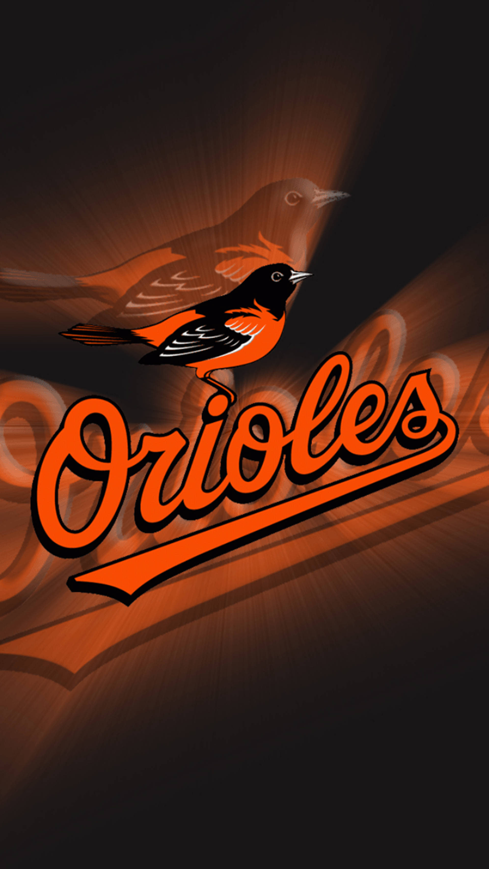 Baltimore Orioles, oriole bird, orange and black, 2K Phone Wallpaper
