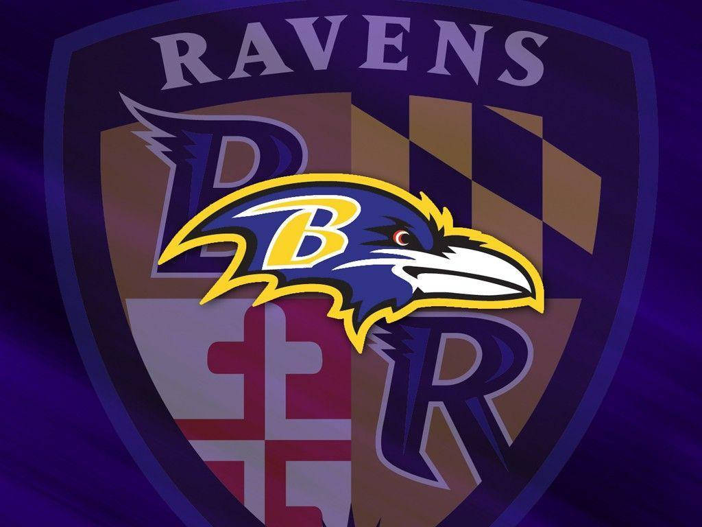 Baltimore Ravens, raven head, shield design, SD Desktop Wallpaper