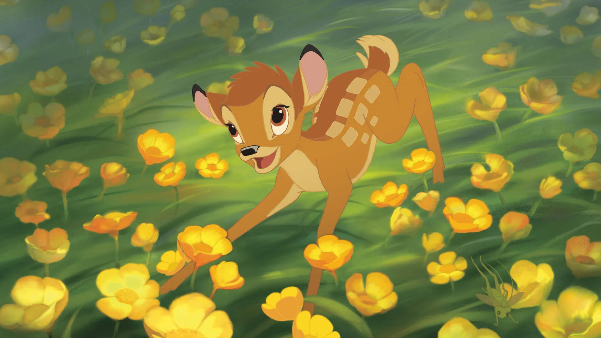 Bambi, flower field, bright yellow flowers, Full HD Desktop Wallpaper