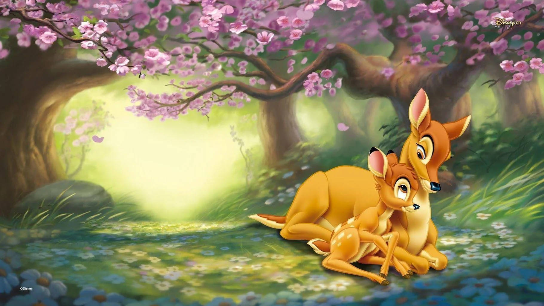 Bambi, mother deer, blossoming pink cherry tree, HD Desktop Wallpaper