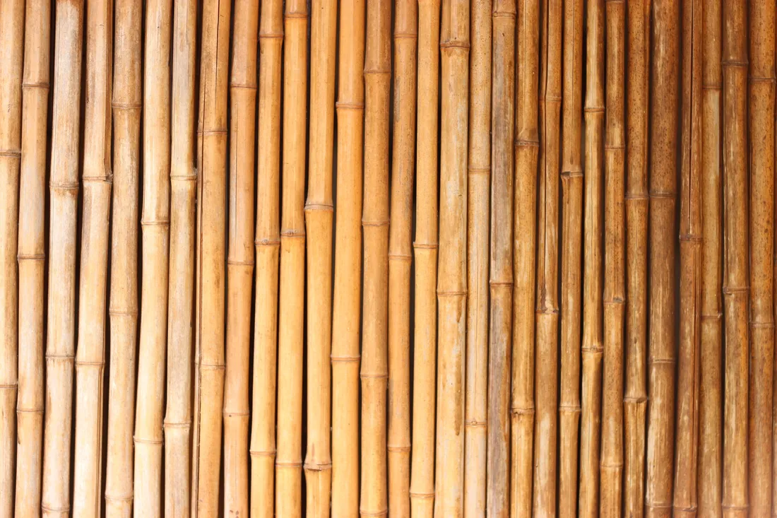 Bamboo Desktop