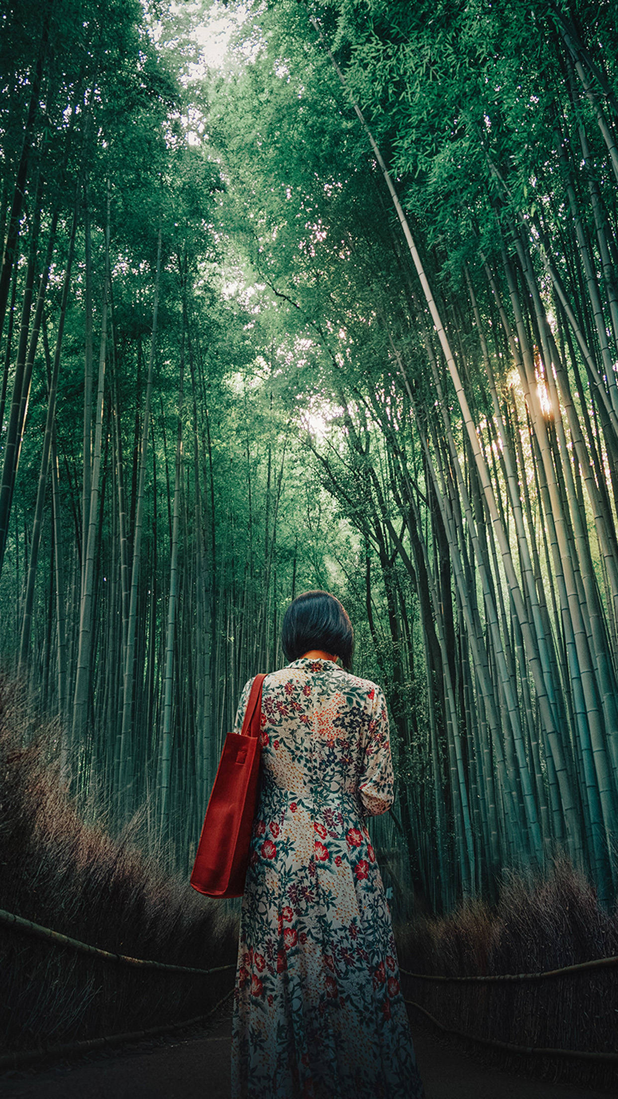 Girl, bamboo forest, floral dress, Full HD Phone Wallpaper