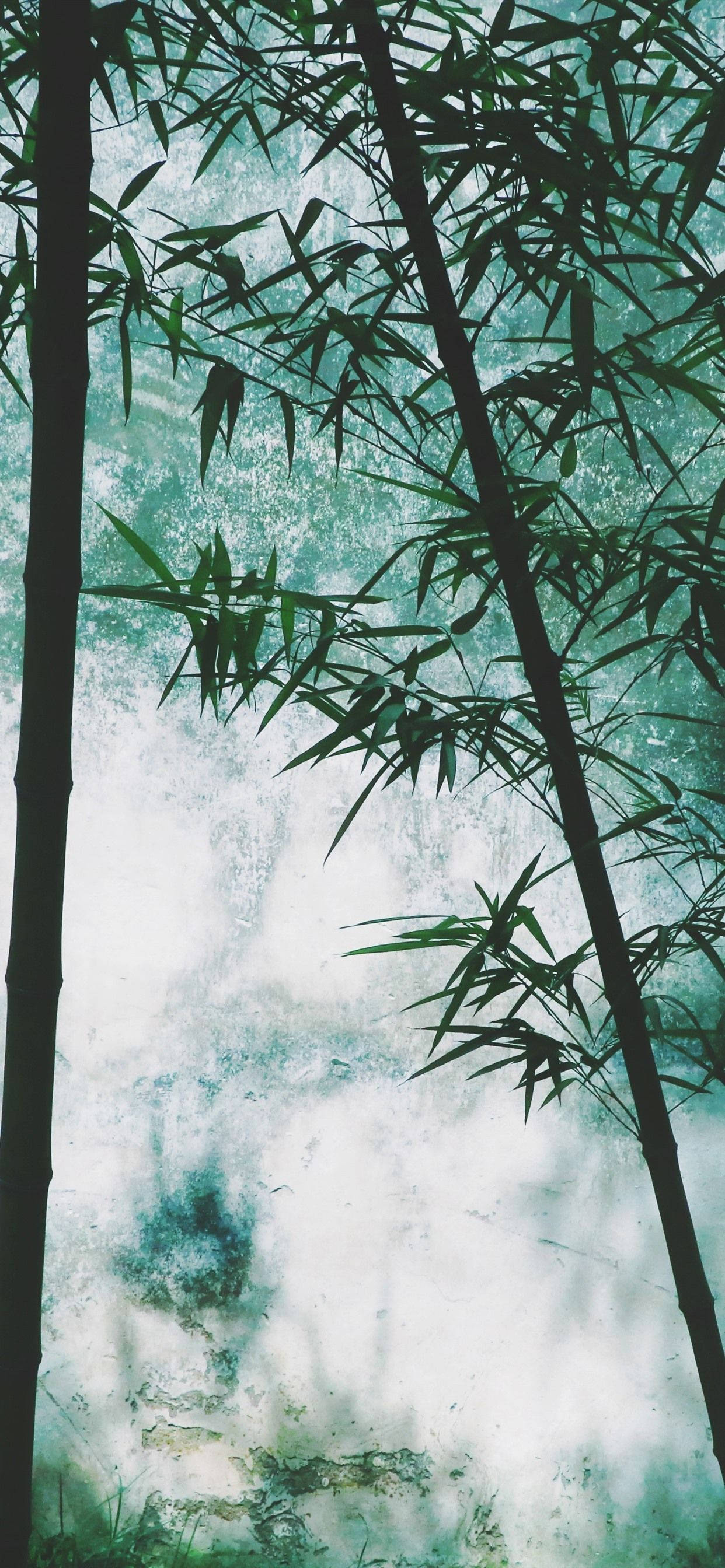 Bamboo Forest iPhone, smokey forest, misty turquoise waterfall, 2K Phone Wallpaper