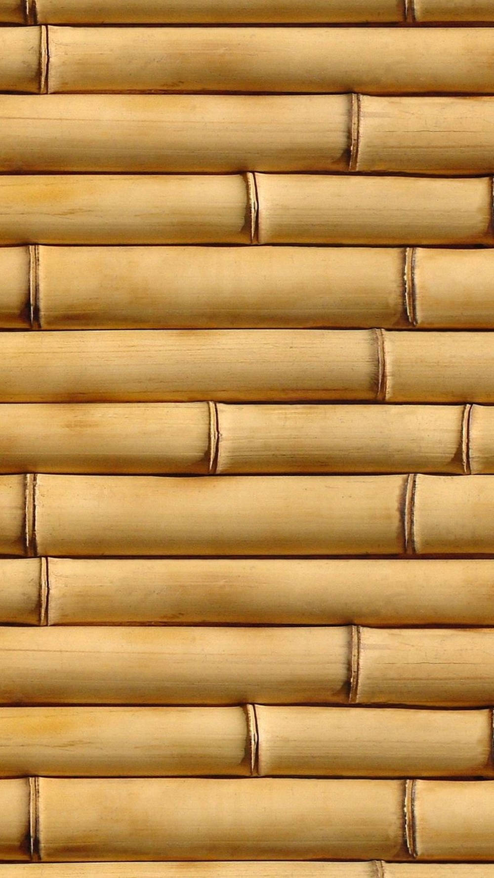 Bamboo Pattern iPhone, light brown bamboo stalks, natural textured pattern, HD Phone Wallpaper