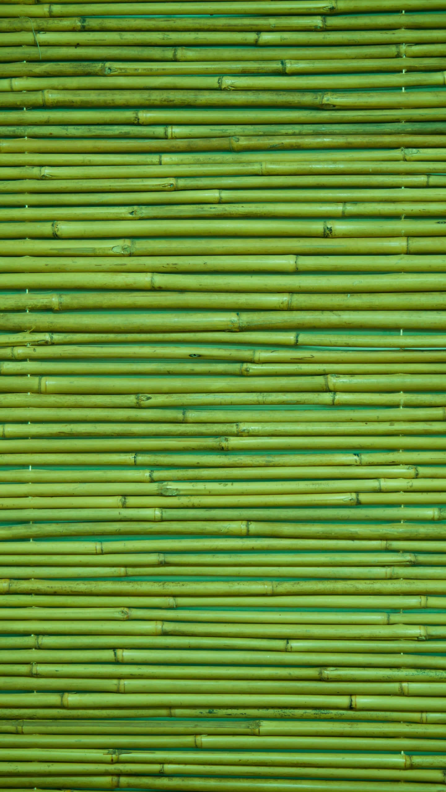 bamboo phone, bamboo netting, vibrant green, 2K Phone Wallpaper