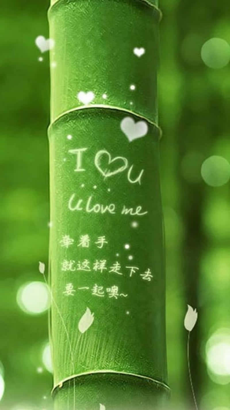 bamboo tree, handwritten love messages, hearts glowing, HD Phone Wallpaper