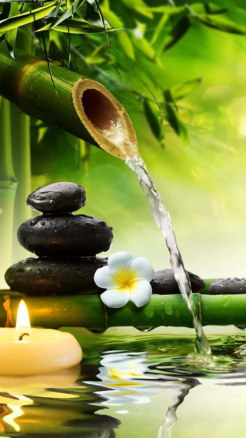 bamboo tree, water flowing, black stones, HD Phone Wallpaper