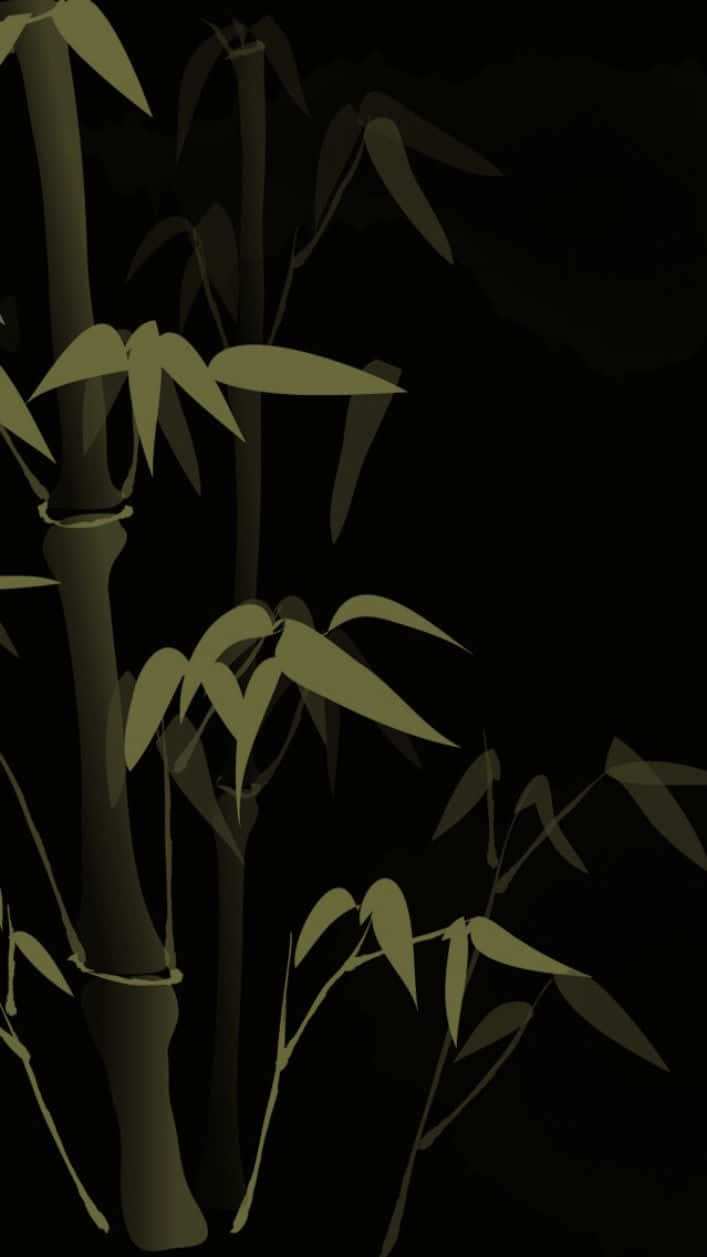 bamboo tree, black background, muted olive tones, SD Phone Wallpaper