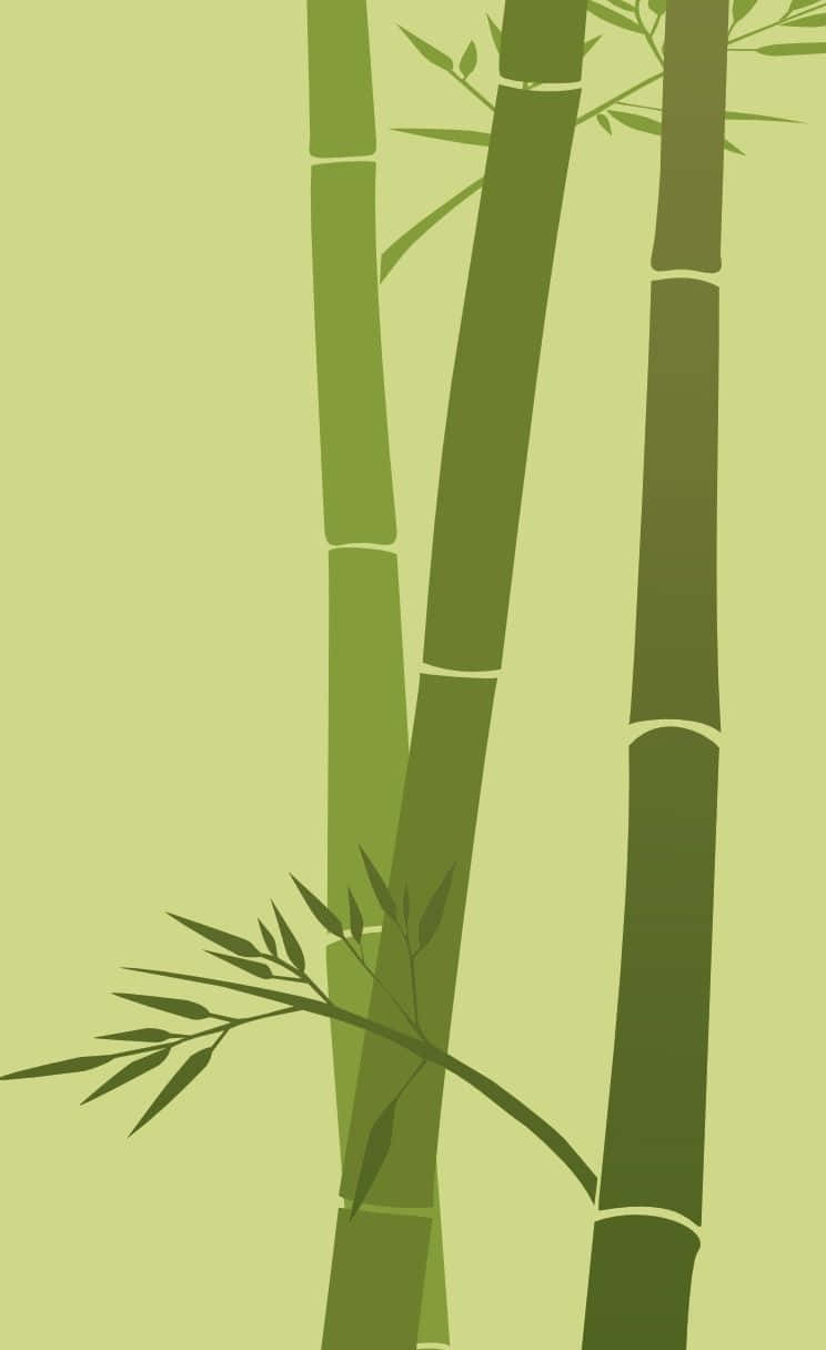 bamboo tree, vector illustration, minimalist vector art, SD Phone Wallpaper