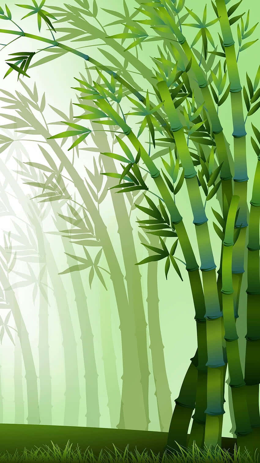 bamboo trees, forest, tall green bamboo stalks, HD Phone Wallpaper