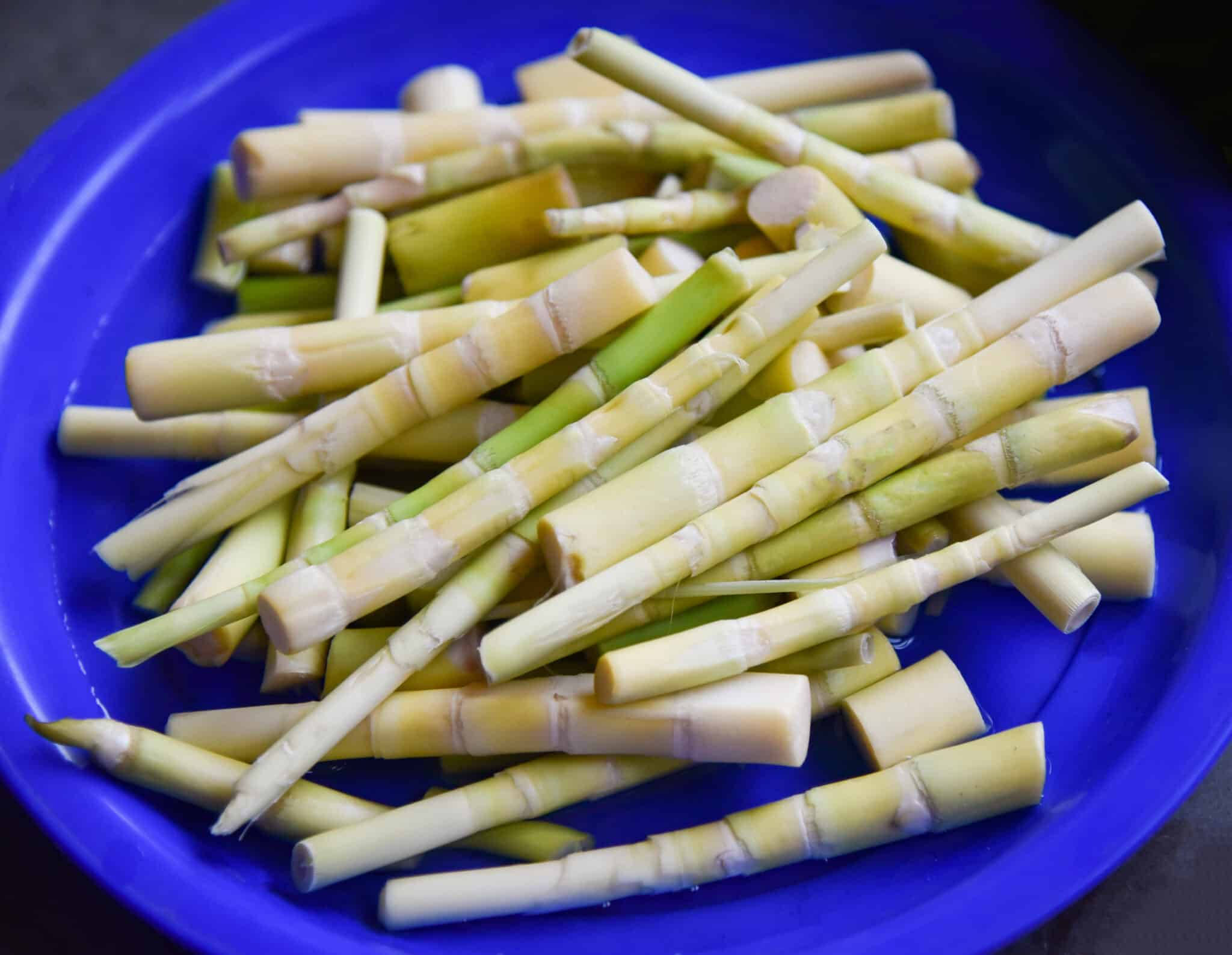 bamboo shoots, vibrant blue plate, pale green, Full HD Desktop Wallpaper