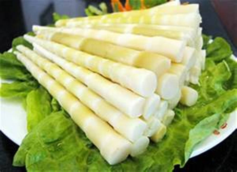 bamboo shoots, crisp green lettuce leaves, white plate, SD Desktop Wallpaper