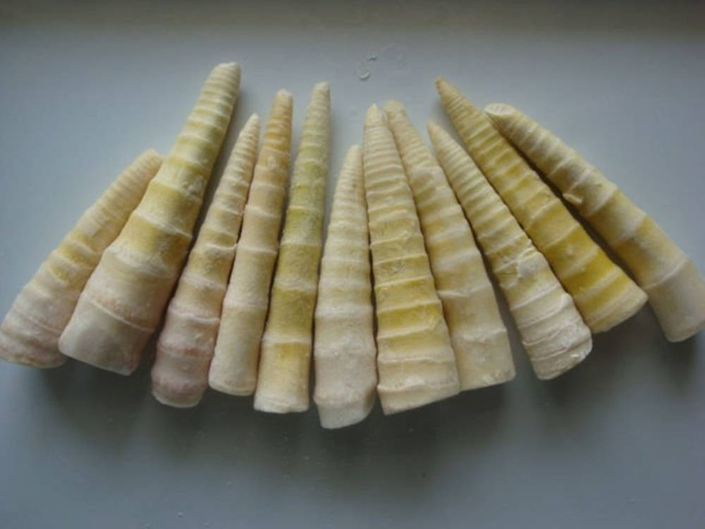 Eleven Raw Vegetable Bamboo Shoots, bamboo shoots, plain gray surface, SD Desktop Wallpaper