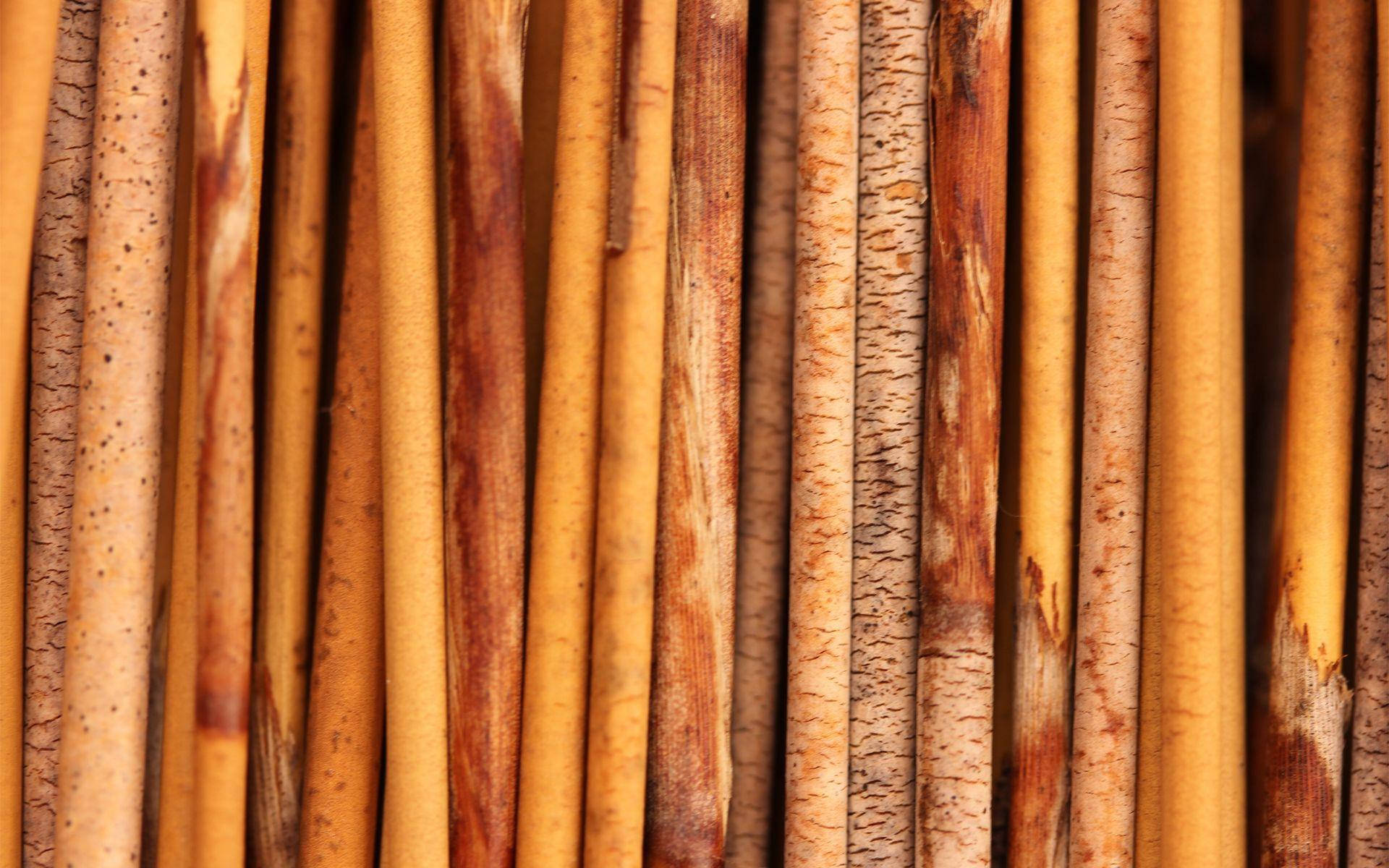 bamboo wood texture, vertically aligned bamboo stalks, warm golden and brown tones, Full HD Desktop Wallpaper
