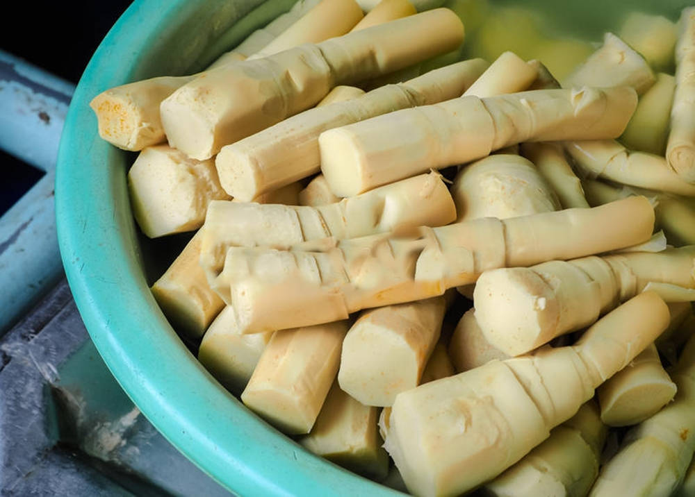 freshly boiled vegetable bamboo shoots, teal bowl, piled, SD Desktop Wallpaper