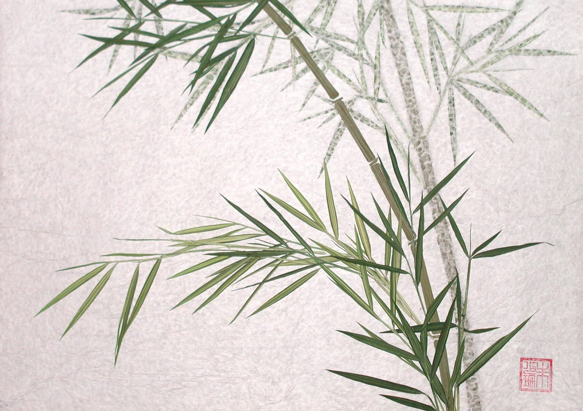 bamboo stalks, bamboo leaves, soft green tones, Full HD Desktop Wallpaper