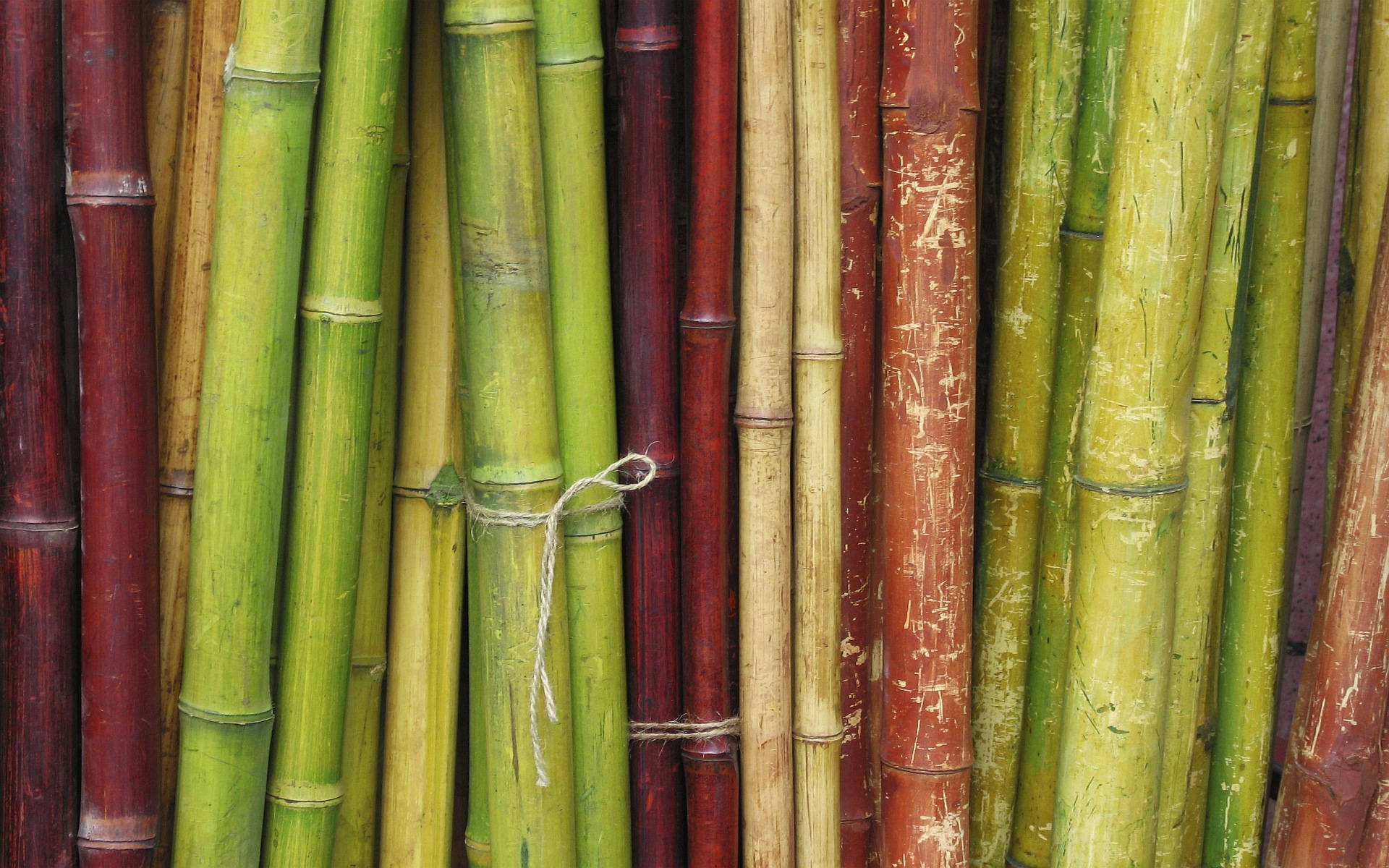 red and green colored bamboo, green red and beige tones, twine, Full HD Desktop Wallpaper