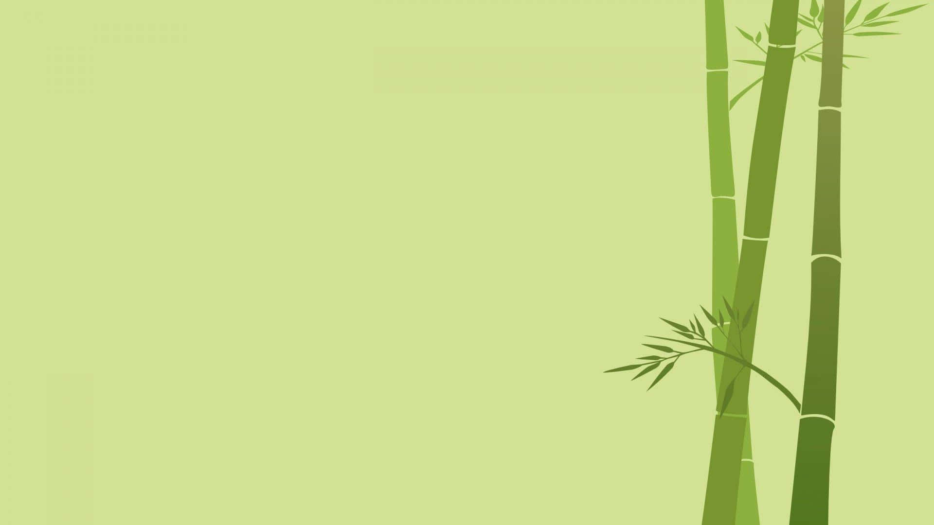 bamboo desktop, three stylized bamboo stalks, leaves, Full HD Desktop Wallpaper