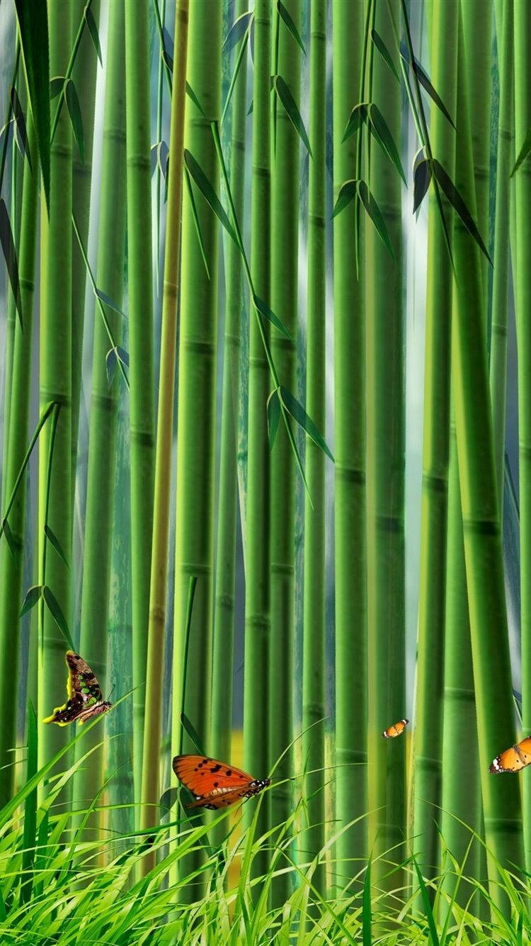 butterfly, bamboo forest, iPhone, HD Phone Wallpaper