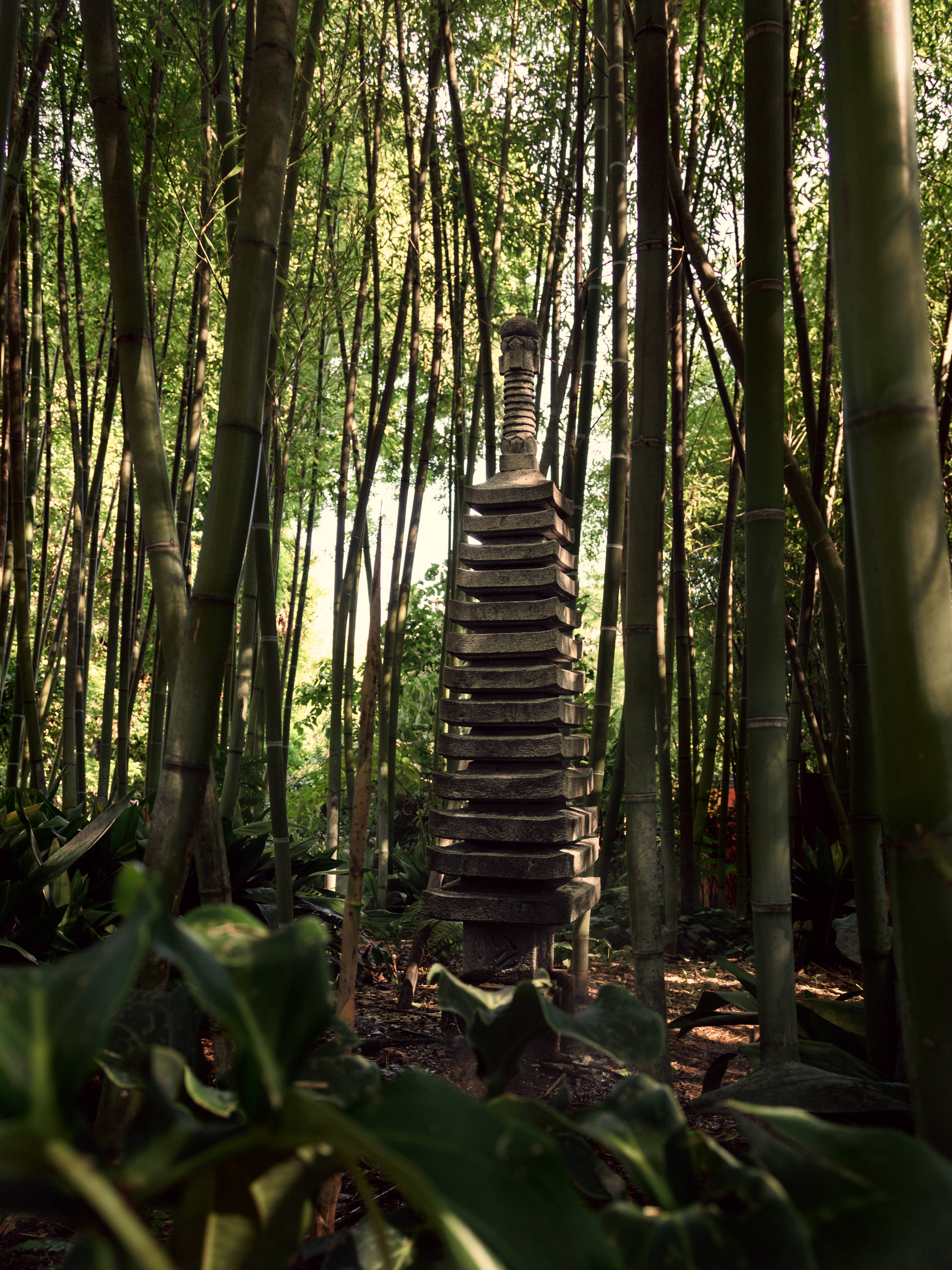 stone stupa, towering bamboo stalks, dappled sunlight, 4K Phone Wallpaper