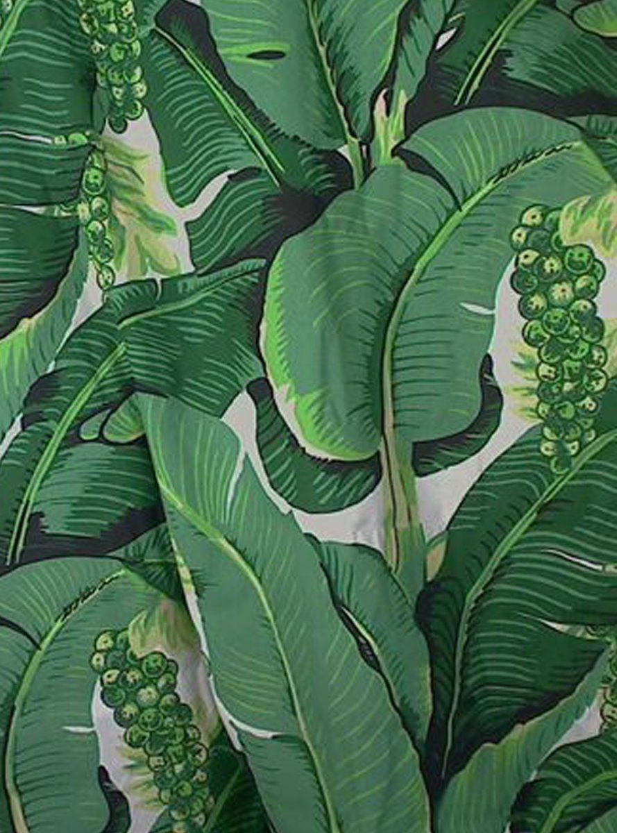 banana leaf, tropical, green fruit, SD Phone Wallpaper