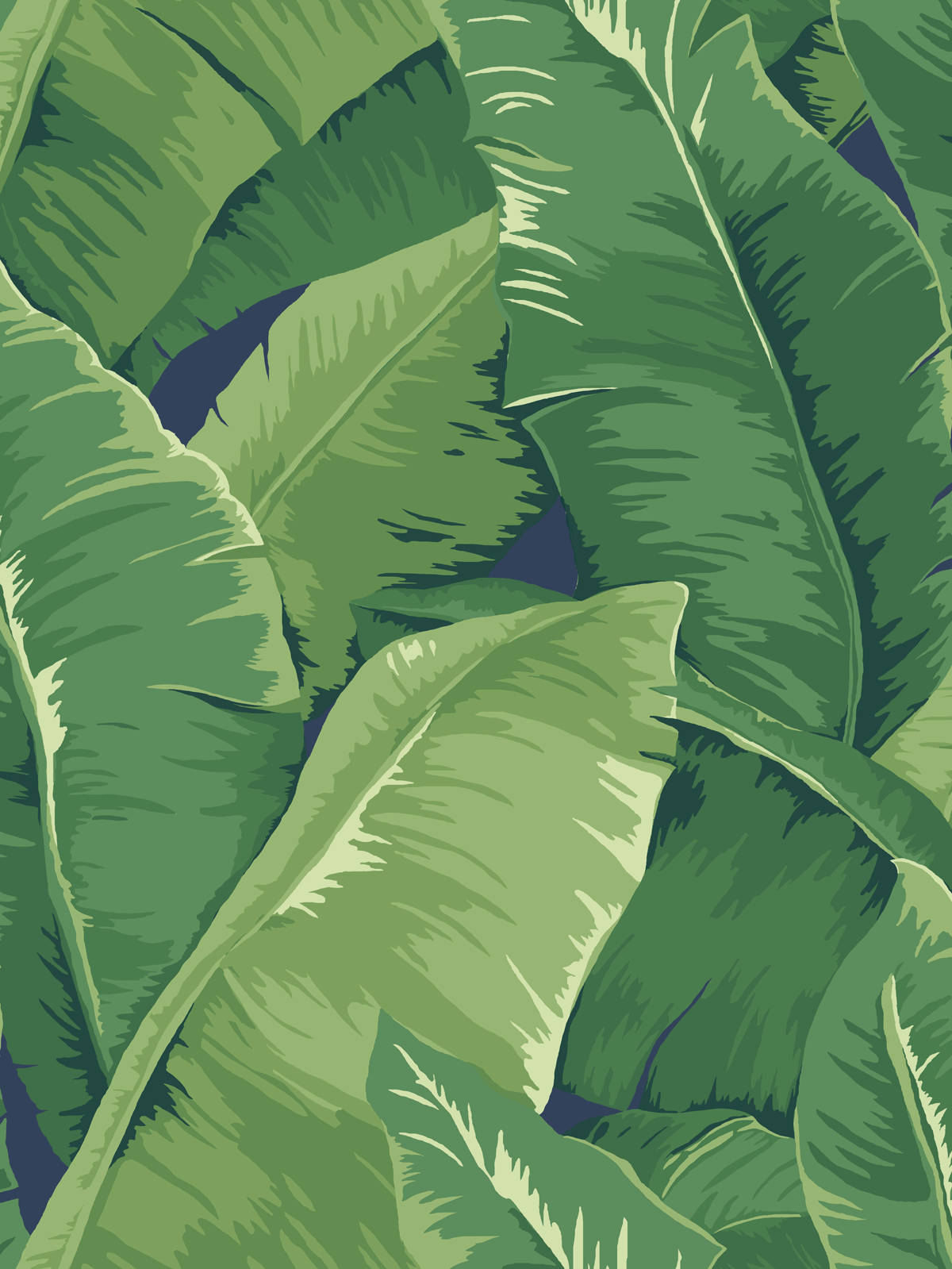 green clustered banana leaf, lush tropical pattern, layered shades of green, HD Phone Wallpaper