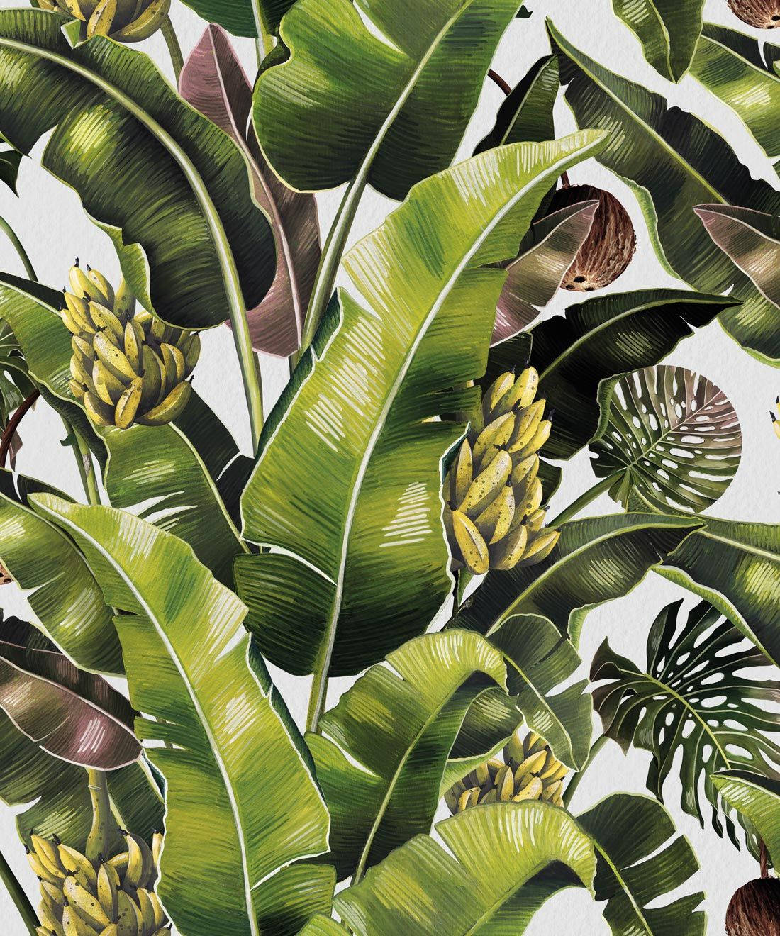 banana leaf, tropical fruits, monstera leaves, HD Phone Wallpaper