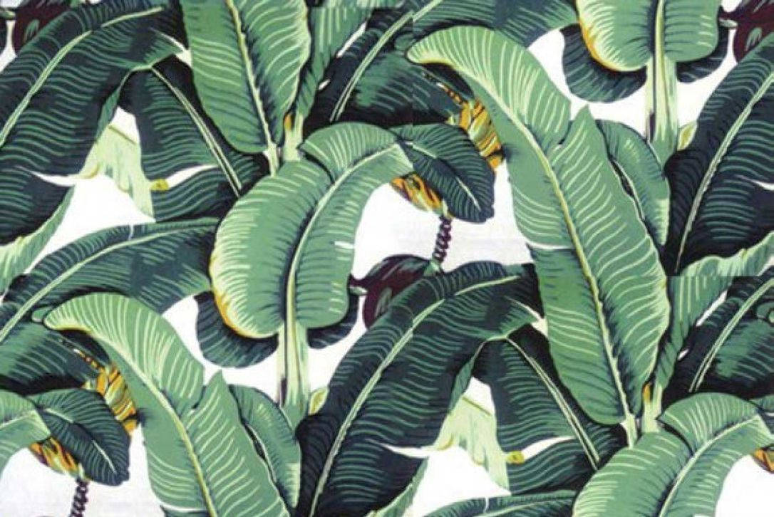 banana leaf, vibrant tropical, deep green veins, SD Desktop Wallpaper
