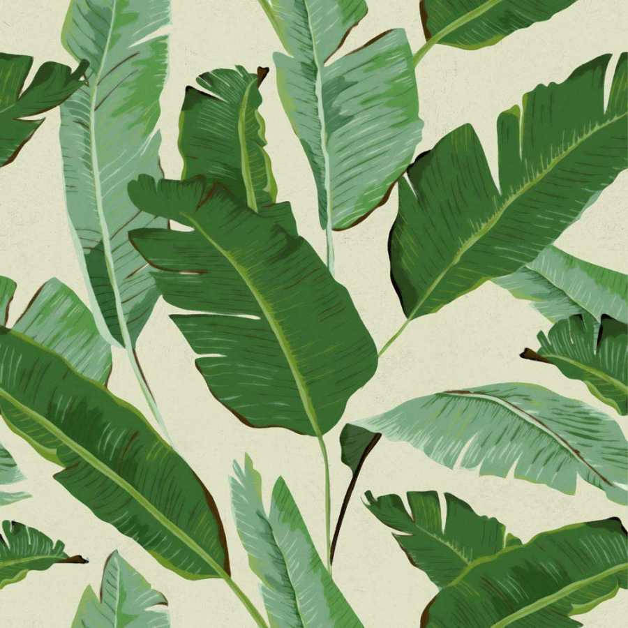 banana leaf, vibrant green, detailed veins, SD Desktop Wallpaper