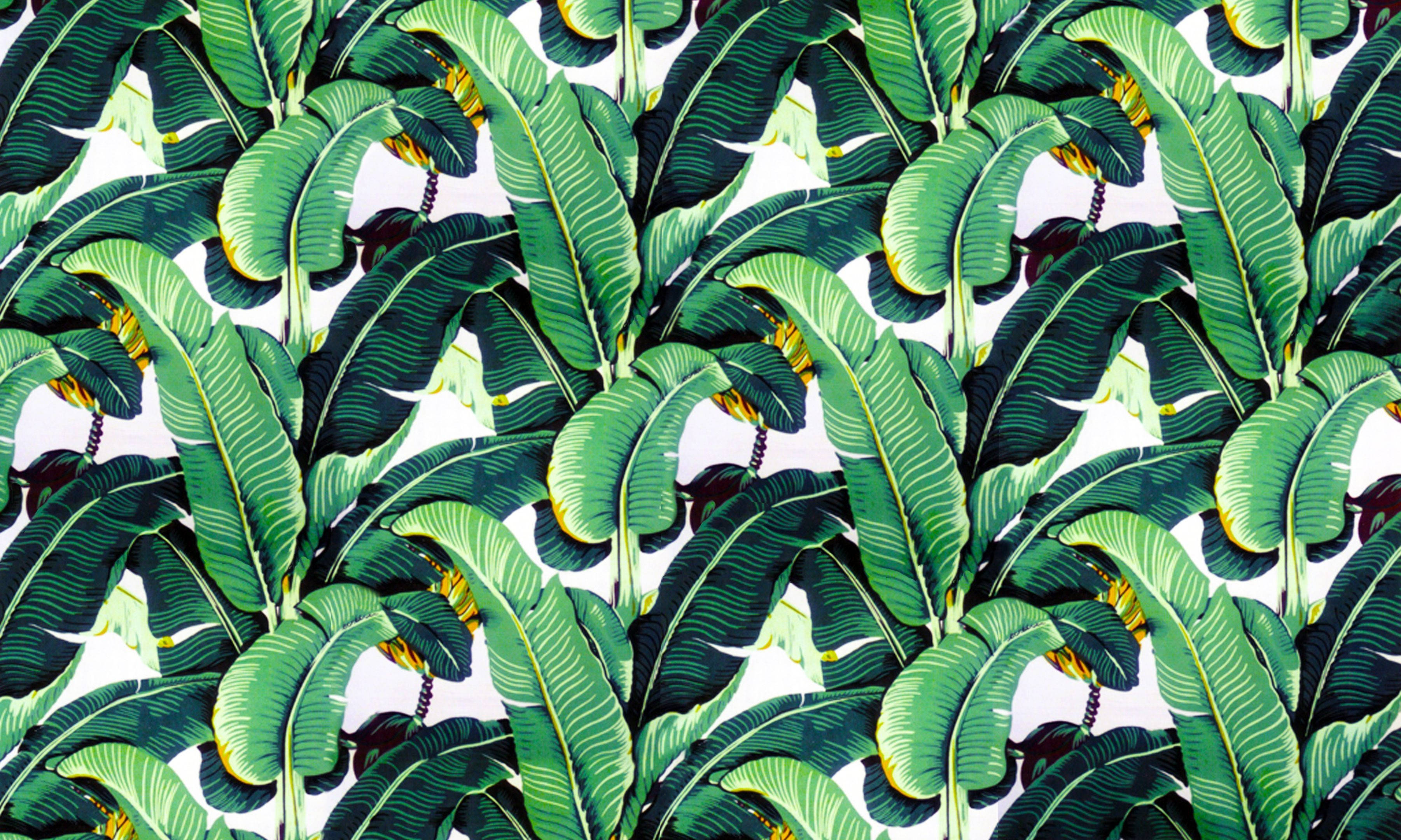 banana leaf, digital mural, vibrant tropical banana leaves, 2K Desktop Wallpaper
