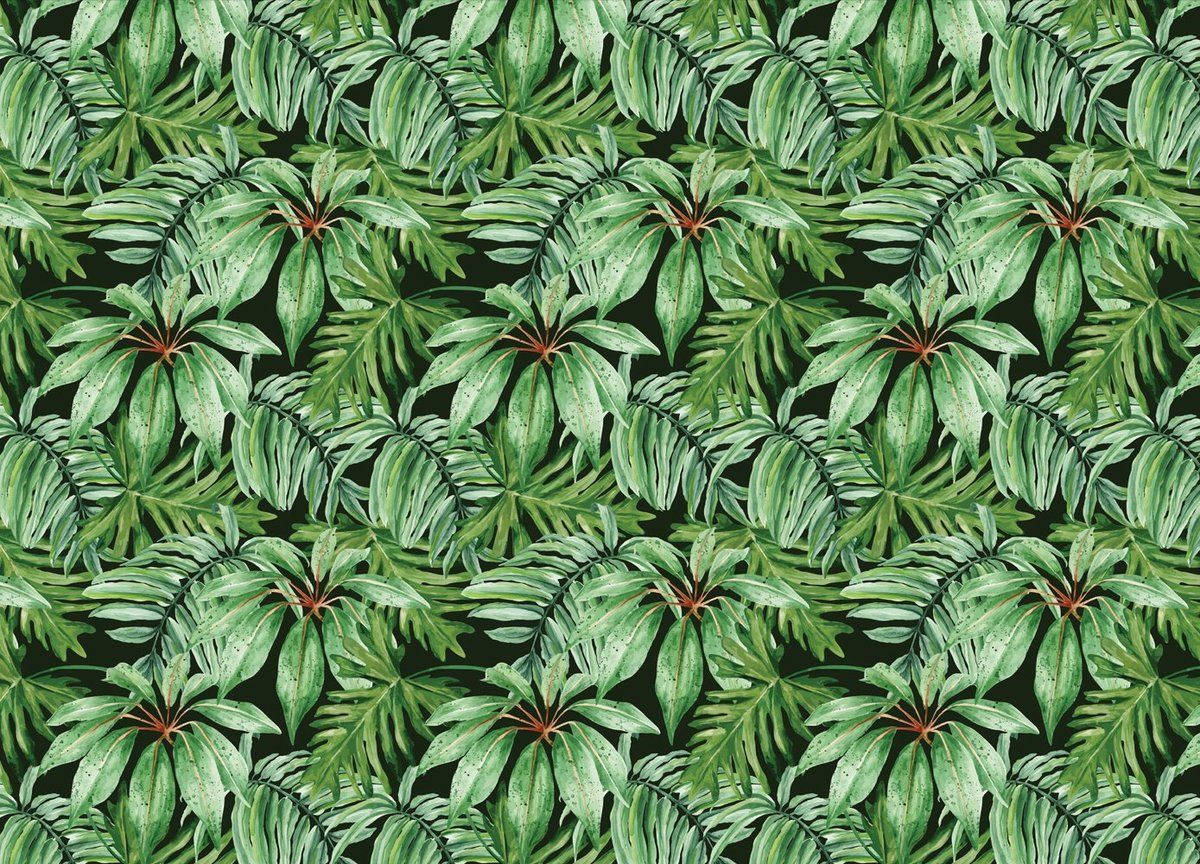 tropical banana leaf, vibrant tropical leaves, varying shades of green, SD Desktop Wallpaper