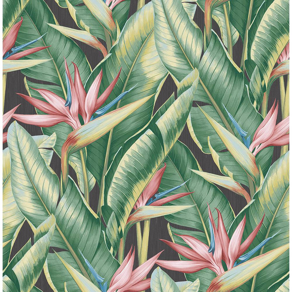 banana leaves, pink flowers, tropical bird of paradise flowers, SD Desktop Wallpaper