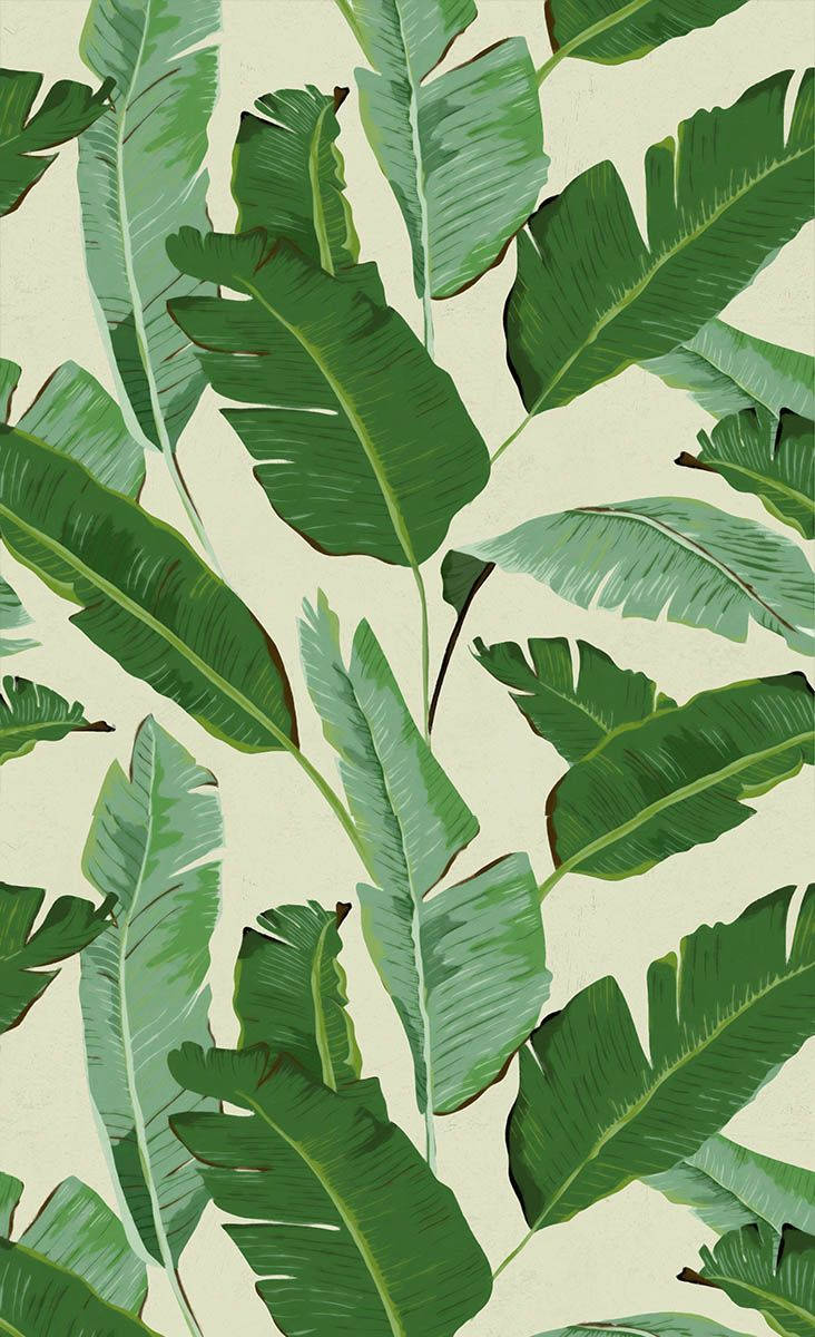 green banana leaf, detailed veins, soft cream background, SD Phone Wallpaper