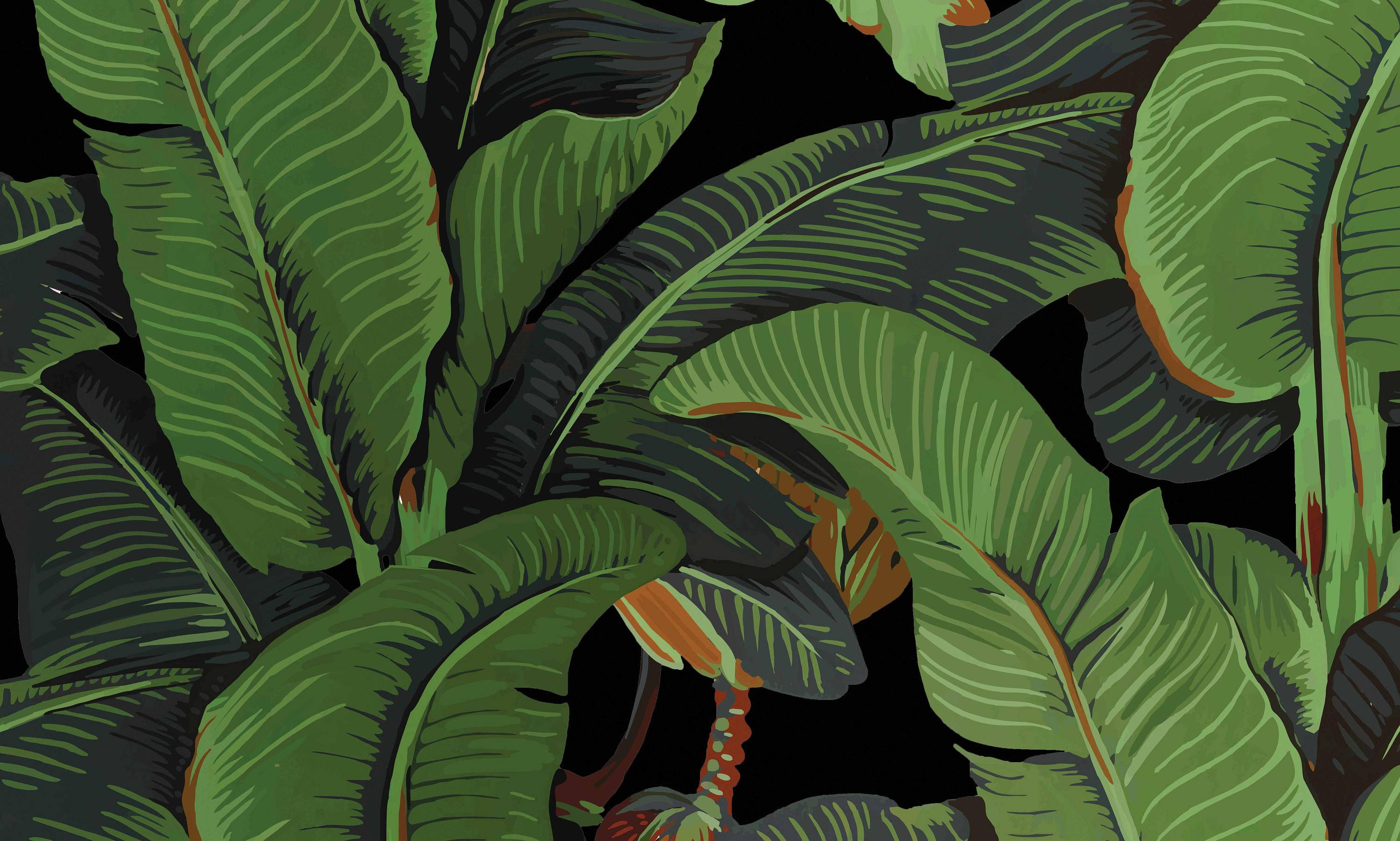 banana leaf, vibrant green, bold veins, 2K Desktop Wallpaper
