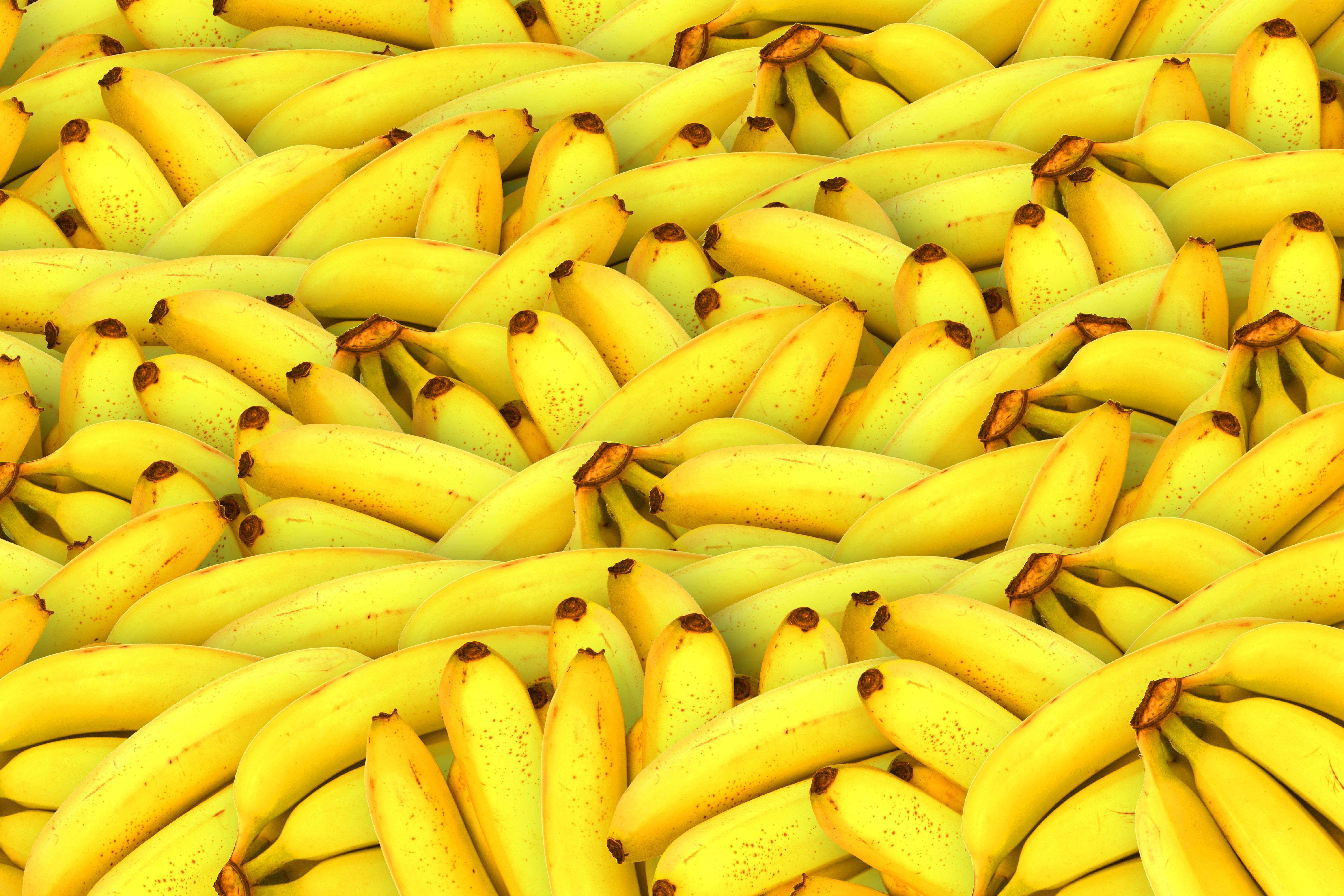 banana fruit, stem, ripe yellow bananas, 5K Desktop Wallpaper